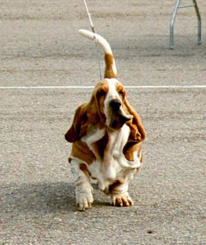 Cherry in action Täby 2005-08-28