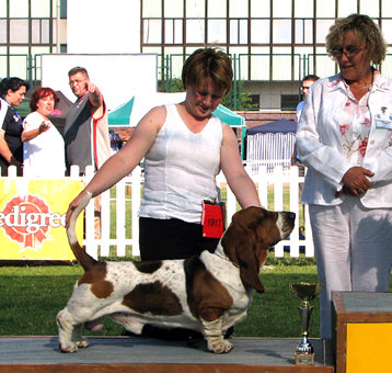 fot. Tomasz Żmijewski